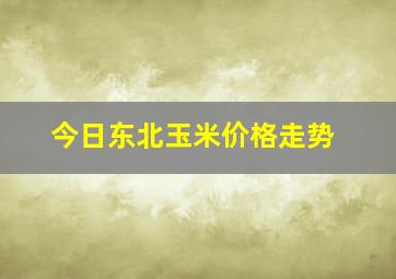 今日东北玉米价格走势