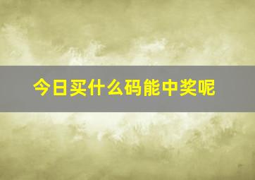 今日买什么码能中奖呢