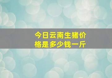 今日云南生猪价格是多少钱一斤