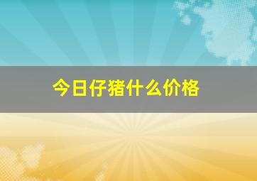 今日仔猪什么价格