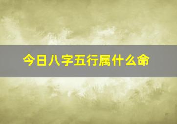 今日八字五行属什么命