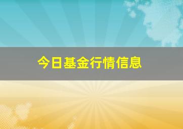 今日基金行情信息