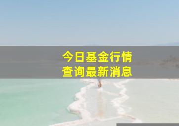 今日基金行情查询最新消息