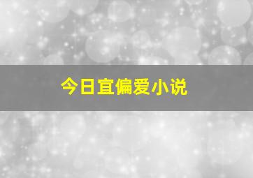 今日宜偏爱小说