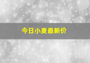 今日小麦最新价