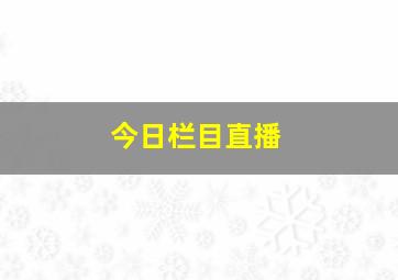 今日栏目直播