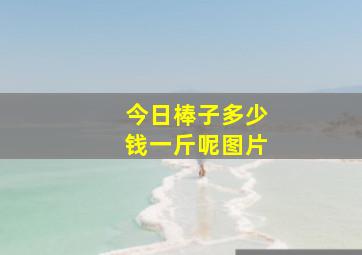 今日棒子多少钱一斤呢图片