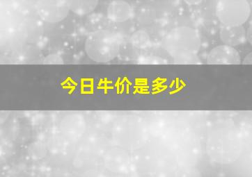 今日牛价是多少