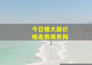 今日猪大肠价格走势商务网