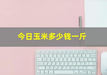 今日玉米多少钱一斤