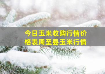 今日玉米收购行情价格表周至县玉米行情