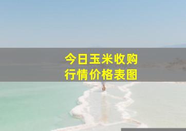 今日玉米收购行情价格表图