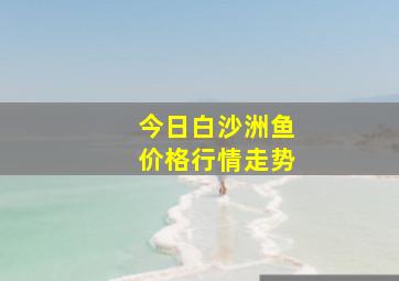 今日白沙洲鱼价格行情走势