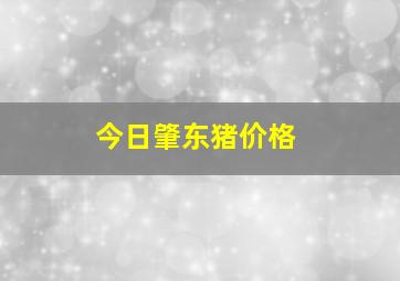 今日肇东猪价格