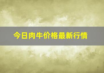 今日肉牛价格最新行情