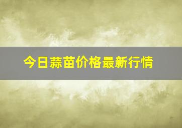 今日蒜苗价格最新行情