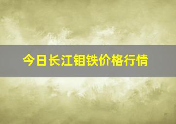 今日长江钼铁价格行情