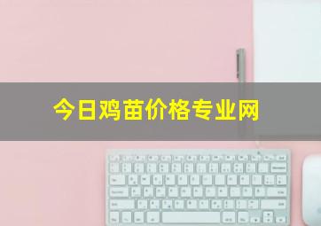 今日鸡苗价格专业网