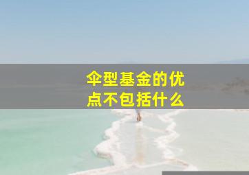 伞型基金的优点不包括什么