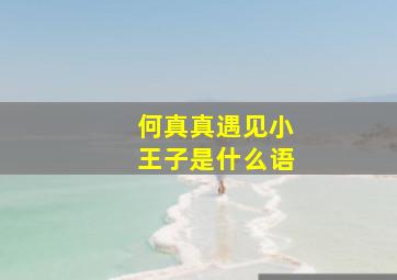 何真真遇见小王子是什么语