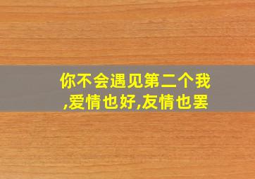 你不会遇见第二个我,爱情也好,友情也罢