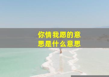 你情我愿的意思是什么意思