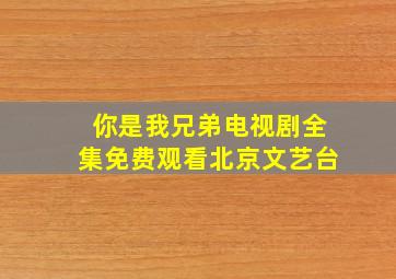 你是我兄弟电视剧全集免费观看北京文艺台