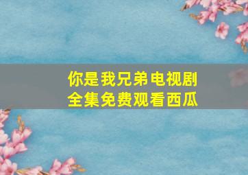 你是我兄弟电视剧全集免费观看西瓜