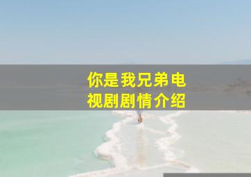 你是我兄弟电视剧剧情介绍