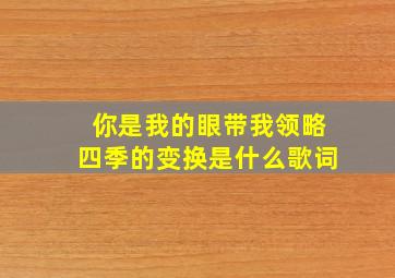 你是我的眼带我领略四季的变换是什么歌词