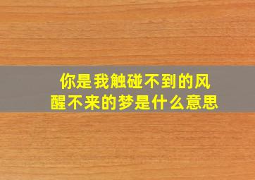 你是我触碰不到的风醒不来的梦是什么意思