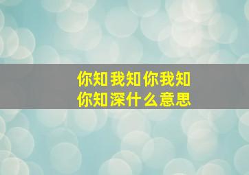 你知我知你我知你知深什么意思