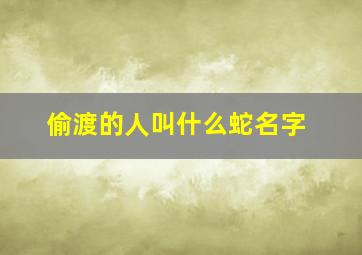 偷渡的人叫什么蛇名字