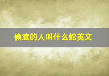 偷渡的人叫什么蛇英文