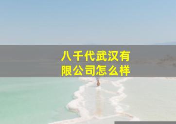 八千代武汉有限公司怎么样