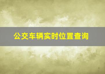 公交车辆实时位置查询