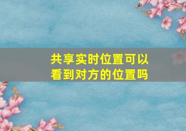 共享实时位置可以看到对方的位置吗