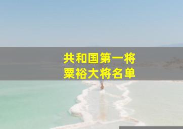 共和国第一将粟裕大将名单