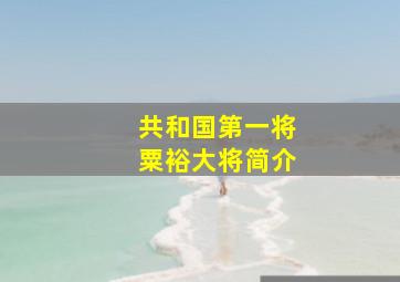 共和国第一将粟裕大将简介