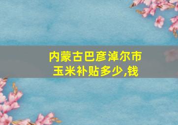 内蒙古巴彦淖尔市玉米补贴多少,钱