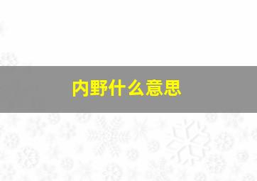 内野什么意思