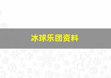 冰球乐团资料