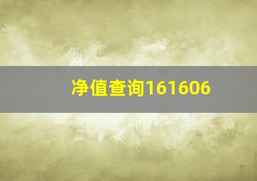 净值查询161606