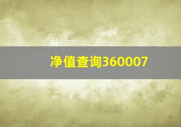 净值查询360007