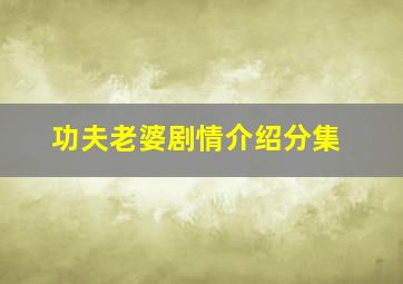 功夫老婆剧情介绍分集