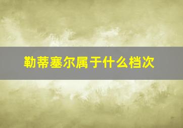 勒蒂塞尔属于什么档次