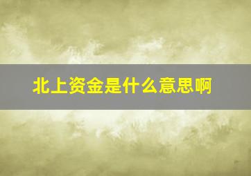 北上资金是什么意思啊