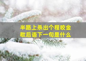 半路上杀出个程咬金歇后语下一句是什么