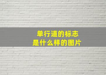 单行道的标志是什么样的图片