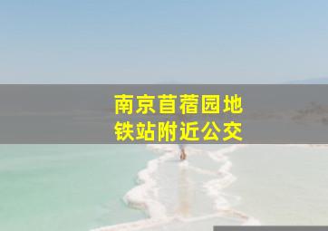 南京苜蓿园地铁站附近公交